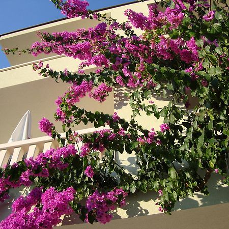 Apartments Villa Cizmic Башка-Вода Экстерьер фото