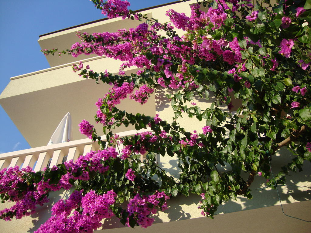 Apartments Villa Cizmic Башка-Вода Экстерьер фото